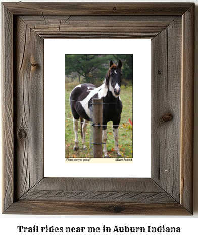 trail rides near me in Auburn, Indiana